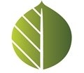 Photo of Roundleaf - San Jose