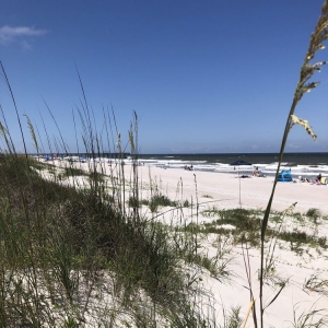 Photo of ERA Fernandina Beach Realty