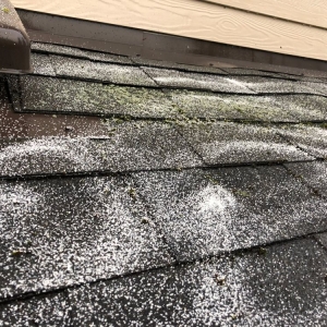 Photo of Sound Window & Gutter Cleaning