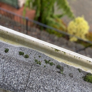 Seattle Sound Window & Gutter Cleaning