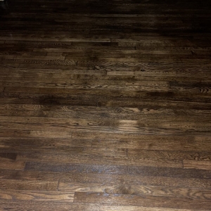 Photo of Alpha Floor Sanding