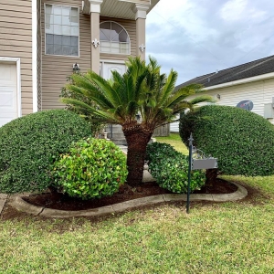 Photo of Mendez Landscaping Development