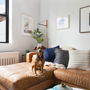Photo of Brooklinteriors