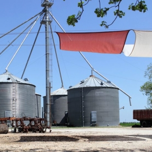 Photo of Schattenbol at DeCock Farm