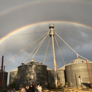 Photo of Schattenbol at DeCock Farm