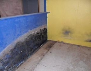 Photo of Certified Water and Mold