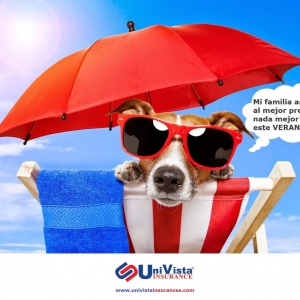 Photo of Univista Insurance