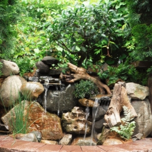 Photo of Michigan Pond and Plant