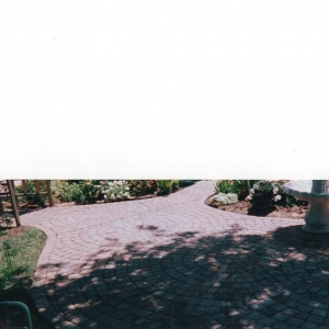 Photo of Michigan Pond and Plant