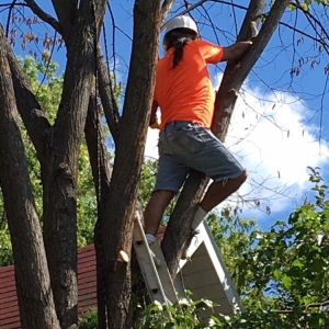 Photo of D & J Handyman Services