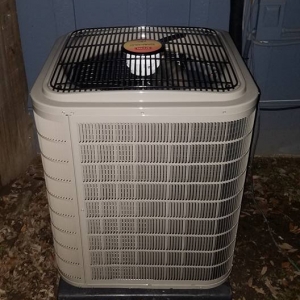 Photo of The Coolest