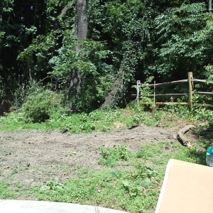 Photo of Dvc Hauling and Landscaping