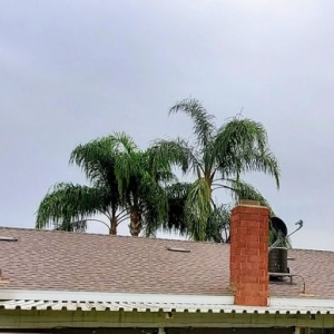 Photo of JL Roofing Company