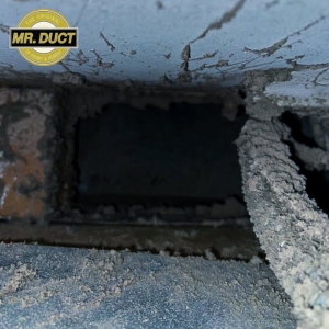Photo of Mr Duct