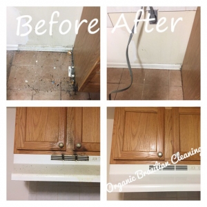 Photo of Organic Brazilian Cleaning