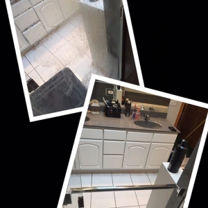 Photo of Organic Brazilian Cleaning
