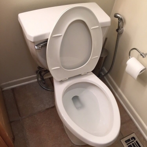 Photo of Organic Brazilian Cleaning