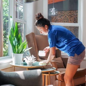 Photo of Pure House Cleaning Seattle