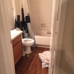 Photo of Wicky Clean
