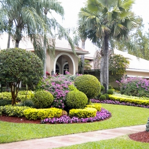 Photo of Neighborhood Lawn Care And Landscape