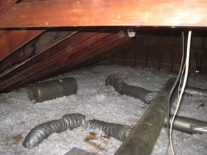 Photo of Global Dwelling