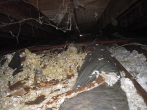 Photo of Global Dwelling