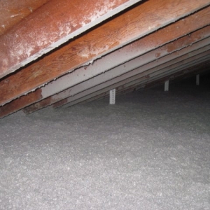 Photo of Global Dwelling