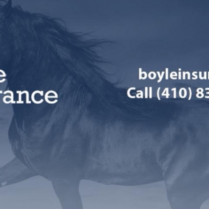 Photo of Boyle Insurance Group