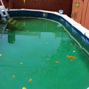 Photo of Emmanuel Pools LLC