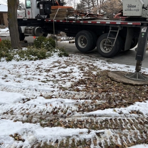 Photo of Atlas Tree Service