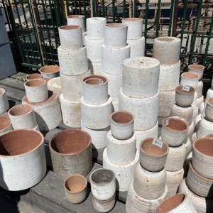 Photo of Armstrong Garden Centers