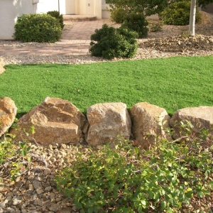 Photo of Blue Star Landscapes