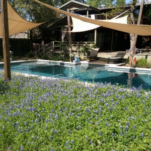 Photo of Pool-Brite