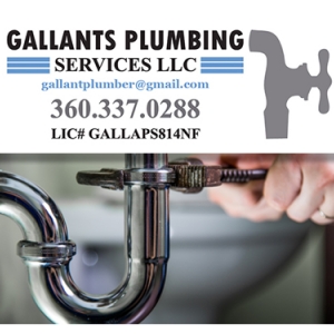 Photo of Gallants Plumbing Services