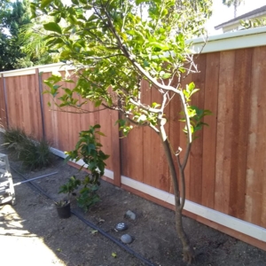 Photo of Quality Handyman and Custom Painting