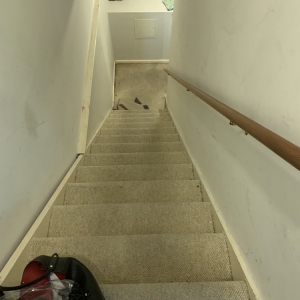 Photo of Eco-Friendly Cleaning Services