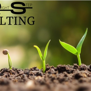 Photo of NRS Consulting Firm