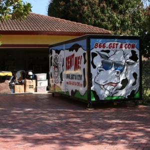 Photo of COWs of Hamilton County