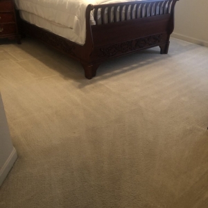 Photo of Rockwall Steam Cleaning & Restoration