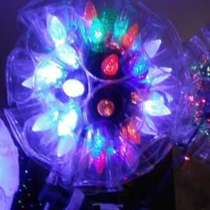 Photo of The Light Hearts - A Clown Company
