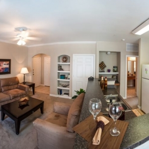 Photo of The Reserve At Tranquility Lake Apartments