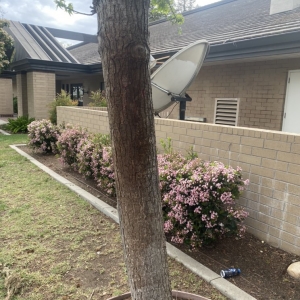 Photo of Aquario Pressure Washing
