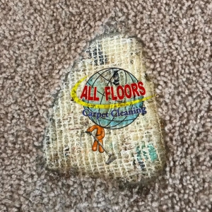 Photo of All Floors Carpet Cleaning