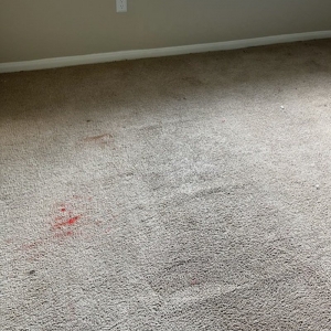 Photo of All Floors Carpet Cleaning