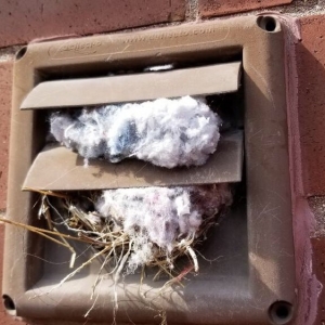 Photo of Dryer Vent Pro