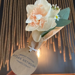 Photo of Atlas Networks