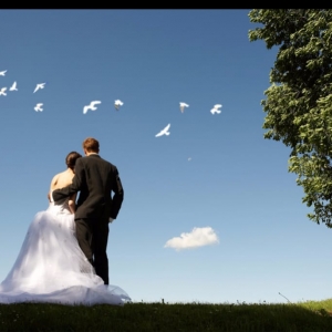 Photo of Doves of Love