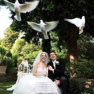 Photo of Doves of Love
