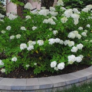 Photo of R&S Landscaping and Nursery