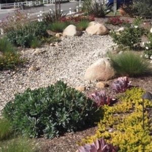 Photo of Surfside Landscape & Construction